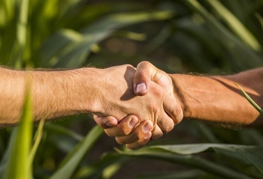 Aperto de mão
